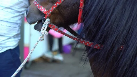 Summer 22 스톡 동영상 86527327