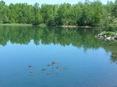 Summer in Abitibi-Temiscamingue Stock Photos