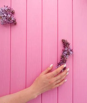 Summer abstract background mockup template woman hand manicure hold blossom.. Stock Photos