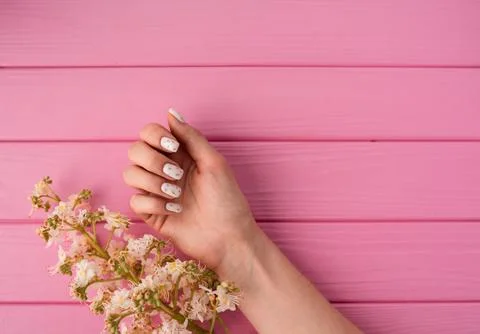 Summer abstract background mockup template woman hand manicure hold blossom.. Stock Photos