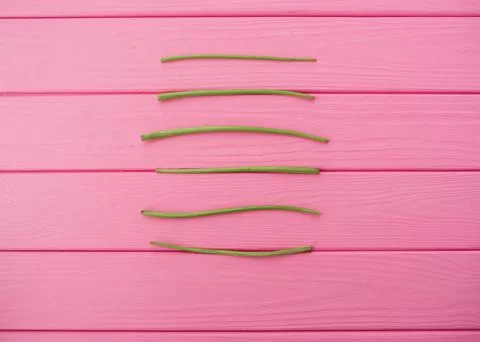 Summer abstract background mockup template lines stems stalks of dandelions.. Stock Photos