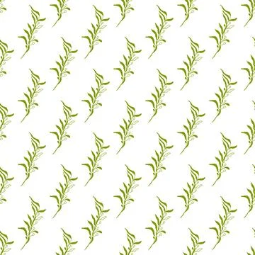 Summer abstract seamless pattern of marine plants. Stock Illustration