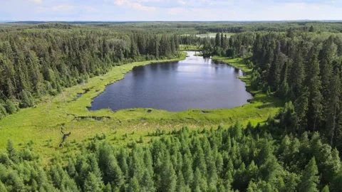 A summer aerial view moving forward over a small beaver pond  Stock Footage 256032602