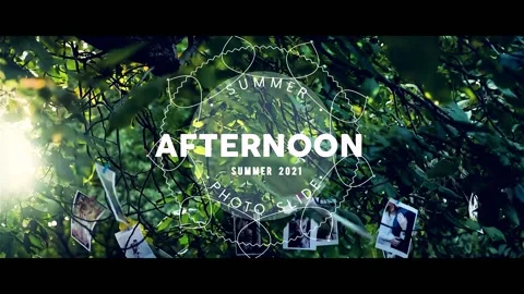 Summer afternoon Photo Slide After Effects stock