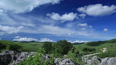 Summer Akiyoshi Video stock 161829864