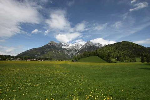 Summer Alps Stock Photos