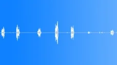 Summer ambience in the villageSound Effect