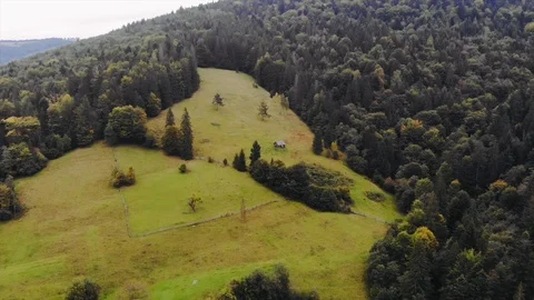 Summer and landscape concept, drone shot of aerial view to forest house Stock Footage 107603403