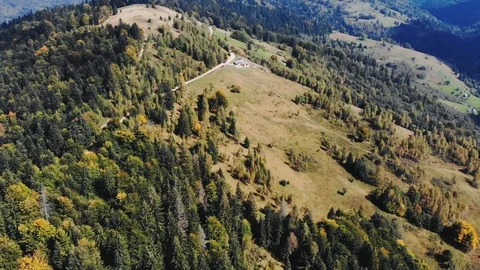Summer and landscape concept - drone shot of aerial view to forest house Stock Footage 107620430