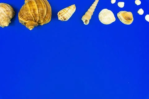 Summer and vacation composition with border made of seashell, flat lay, blue  Stock Photos