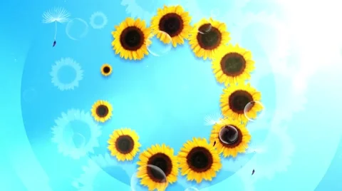 Summer animation with sunflowers Video stock 64751408