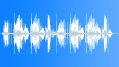 Summer Atmosphere June RecordedSound Effect