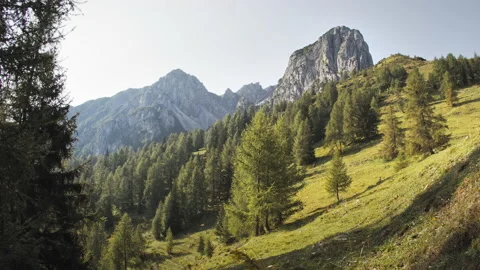 Summer in the Austrian Alps Stock Footage 142018735
