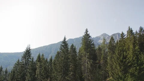 Summer in the Austrian Alps Stock Footage 142020437