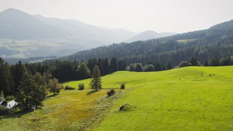 Summer in the Austrian Alps Stock Footage 142021263