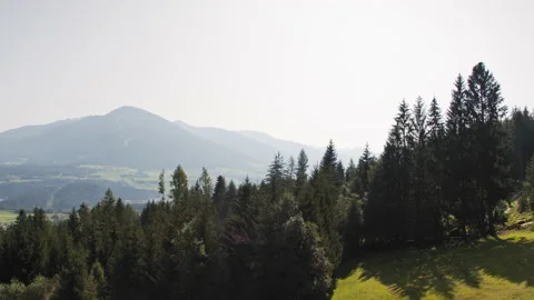Summer in the Austrian Alps Stock Footage 142021991