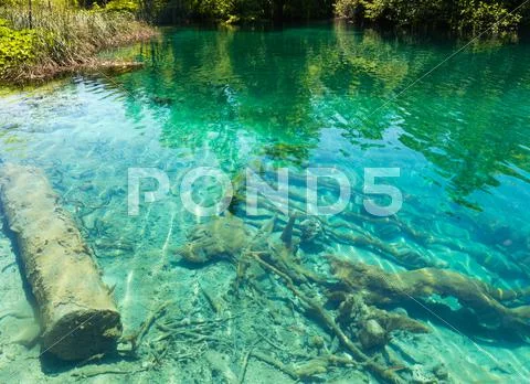 Summer azure limpid transparent lake (plitvice, croatia) Stock Photos