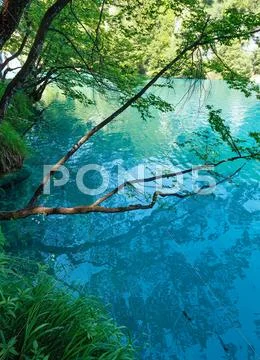 Summer azure limpid transparent lake (plitvice, croatia) Stock Photos