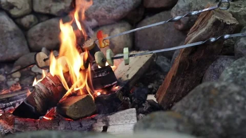 Summer backdrop to a campfire with wood, grilled vegetables on a skewer on the c Stock-Footage 277567631
