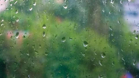 Summer background after the rain. Stock Photos