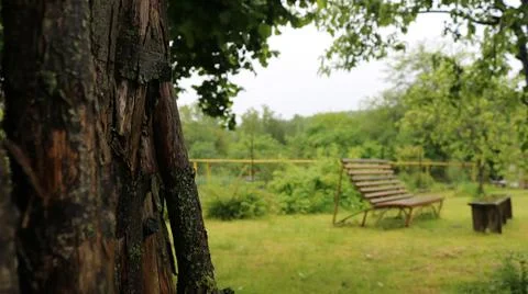 Summer background with a bench in an orchard Stock Photos