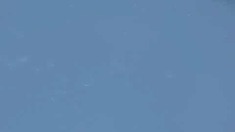 Summer background blue sky white flakes of poplar fluff flies. particles, dust Stock Footage 304456902