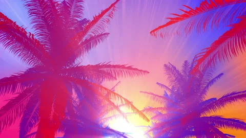 Summer background colorful palm tree with fly through camera on palm and su.. 库存影片 237206225