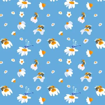 Summer background daisy bee Light blue seamless pattern spring white meadow Stock Illustration