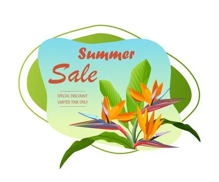 Summer background design with tropical elements. background and leaves - sale Stock Illustration