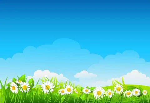 Summer background with flowers Stock Illustration