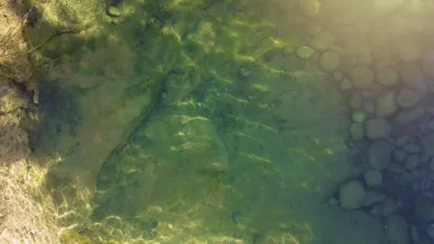 Summer background. Stock Footage 275534198