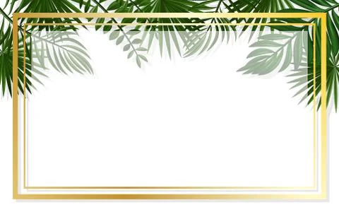 Summer background with frames or borders made of green tropical palm leaves o Ilustração Stock