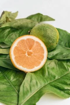 Summer background of half grapefruit above lemon tree leaves. Green and fresh Stock Photos