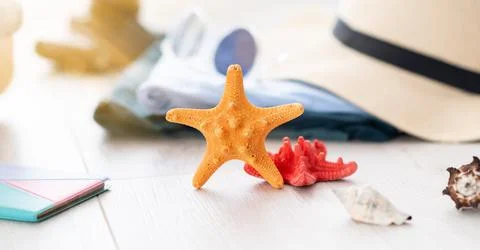 Summer Background, hat, Sunglasses, Camera and starfish. Copy Space Stock Photos