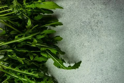 Summer background with herb Фото