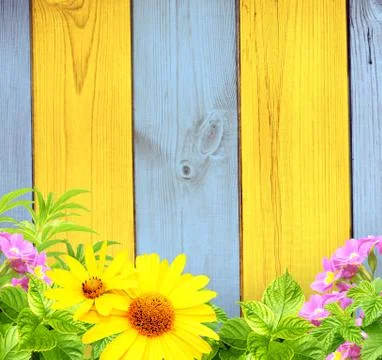 Summer background Stock Illustration