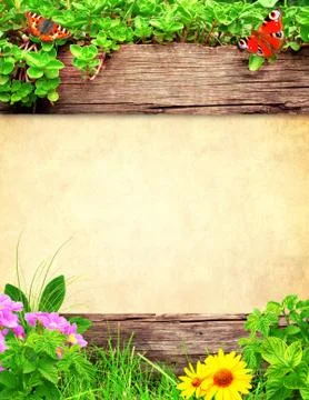 Summer background Stock Illustration