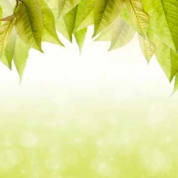 Summer background. Stock Illustration