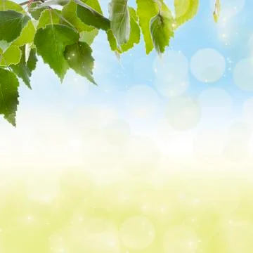 Summer background Stock Illustration