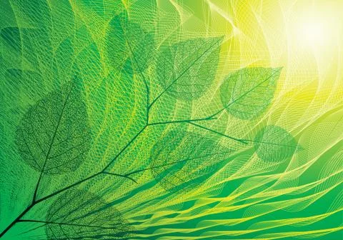 Summer background Stock-Illustration