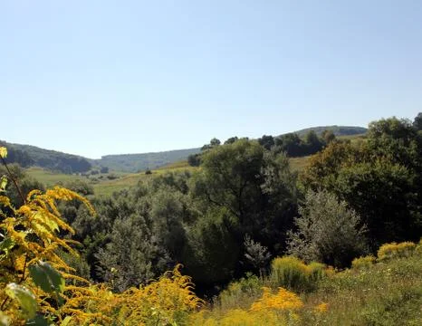 Summer background landscape Stock Photos