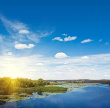 Summer background nature background Stock-Fotos