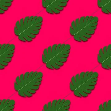 Summer background with palm tree leaves. Vector Stock Illustration