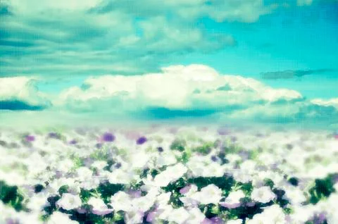 Summer background Stock Photos