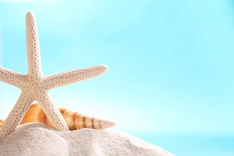 Summer background Stock Photos