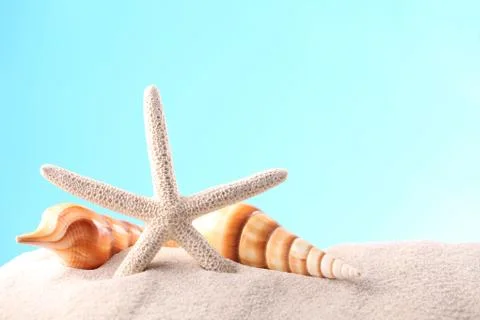 Summer background Stock Photos