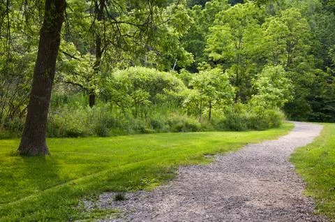 Summer background Stock Photos