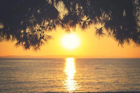 Summer background. 스톡 사진