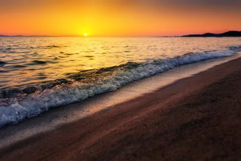 Summer background. Stock Photos