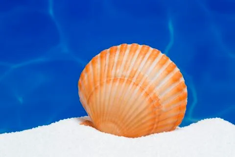 Summer background Фото